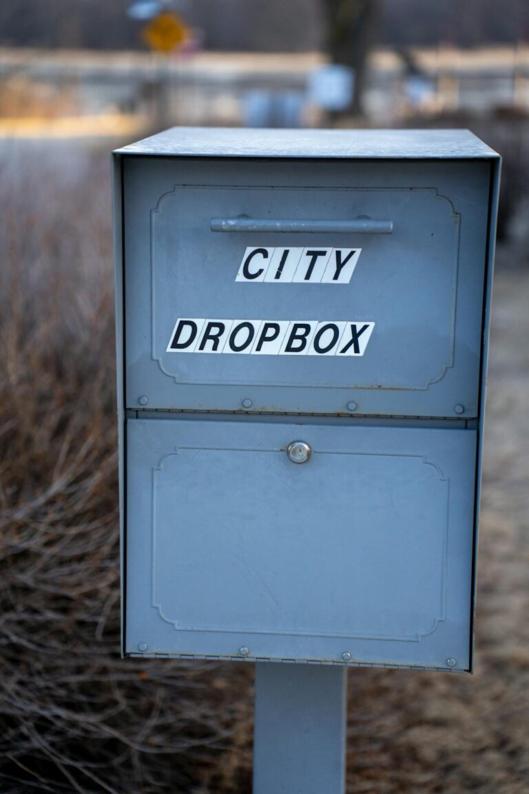 Outdoor city dropbox against blurred rural backdrop in Wabasha, Minnesota.